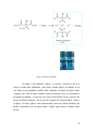 11
Figura 5- Reagente de Benedict
Ao efetuar o teste utilizando a glicose e a sacarose , observou-se que ao se
colocar no banho maria rapidamente o tubo ensaio contendo glicose foi mudando de cor
, até chegar em um precipitado vermelho tijolo , indicando sua função de agente redutor
, enquanto que o tubo de ensaio contendo sacarose permaneceu com a cor característica
do reagente de Benedict , ou seja azul. Isso ocorre em decorrência de que a sacarose não
possui um carbono anomérico, uma vez que ela é a junção de 2 monossacarídeos a frutose
e a glicose. Por outro a glicose como monossacarídeo possui um carbono anomérico que
dar-lhe a capacidade de ser um açúcar redutor. A figura seguir mostra o resultado obtido
no teste:
 