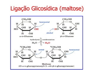 Ligação Glicosídica (maltose)
 
