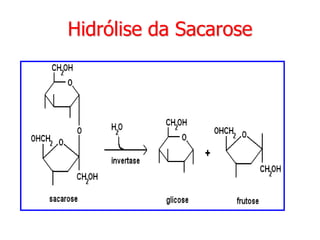 Hidrólise da Sacarose
 