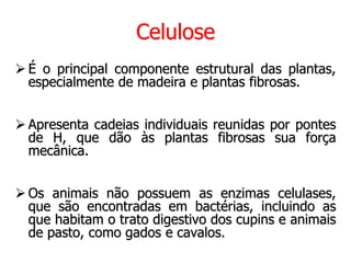Celulose
 É o principal componente estrutural das plantas,
especialmente de madeira e plantas fibrosas.
 Apresenta cadeias individuais reunidas por pontes
de H, que dão às plantas fibrosas sua força
mecânica.
 Os animais não possuem as enzimas celulases,
que são encontradas em bactérias, incluindo as
que habitam o trato digestivo dos cupins e animais
de pasto, como gados e cavalos.
 