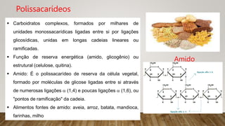 Polissacarídeos
 Carboidratos complexos, formados por milhares de
unidades monossacarídicas ligadas entre si por ligações
glicosídicas, unidas em longas cadeias lineares ou
ramificadas.
 Função de reserva energética (amido, glicogênio) ou
estrutural (celulose, quitina).
 Amido: É o polissacarídeo de reserva da célula vegetal,
formado por moléculas de glicose ligadas entre si através
de numerosas ligações  (1,4) e poucas ligações  (1,6), ou
"pontos de ramificação" da cadeia.
 Alimentos fontes de amido: aveia, arroz, batata, mandioca,
farinhas, milho
Amido
 