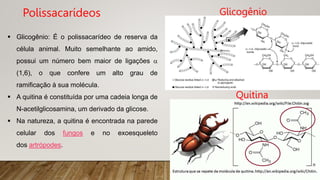  Glicogênio: É o polissacarídeo de reserva da
célula animal. Muito semelhante ao amido,
possui um número bem maior de ligações 
(1,6), o que confere um alto grau de
ramificação à sua molécula.
 A quitina é constituída por uma cadeia longa de
N-acetilglicosamina, um derivado da glicose.
 Na natureza, a quitina é encontrada na parede
celular dos fungos e no exoesqueleto
dos artrópodes.
Polissacarídeos Glicogênio
Quitina
 