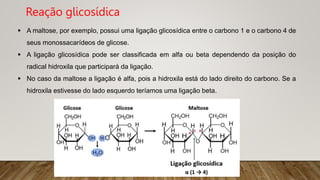  A maltose, por exemplo, possui uma ligação glicosídica entre o carbono 1 e o carbono 4 de
seus monossacarídeos de glicose.
 A ligação glicosídica pode ser classificada em alfa ou beta dependendo da posição do
radical hidroxila que participará da ligação.
 No caso da maltose a ligação é alfa, pois a hidroxila está do lado direito do carbono. Se a
hidroxila estivesse do lado esquerdo teríamos uma ligação beta.
Reação glicosídica
 