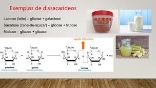 Lactose (leite) – glicose + galactose
Sacarose (cana-de-açúcar) – glicose + frutose
Maltose – glicose + glicose
Exemplos de dissacarídeos
 