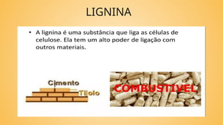 LIGNINA
 