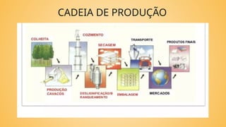 CADEIA DE PRODUÇÃO
 