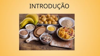 INTRODUÇÃO
 