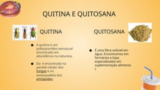 QUITINA QUITOSANA
● É uma fibra solúvel em
água. Encontramos em
farmácias e lojas
especializadas em
suplementação alimenta
r.
● A quitina é um
polissacarídeo estrutural
encontrado em
abundância na natureza.
● Ela é encontrada na
parede celular dos
fungos e no
exoesqueleto dos
artrópodes.
QUITINA E QUITOSANA
 