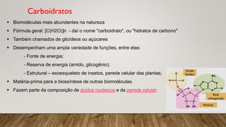 Carboidratos simples e complexos: função e estrutura | PDF
