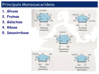 1. Glicose
2. Frutose
3. Galactose
4. Ribose
5. Desoxirribose
 