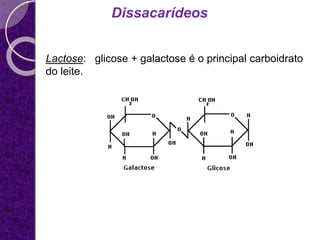 Dissacarídeos
Lactose: glicose + galactose é o principal carboidrato
do leite.
 