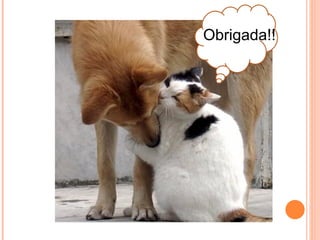 Obrigada!!
 