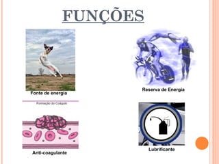 FUNÇÕES



                   Reserva de Energia
Fonte de energia




                       Lubrificante
Anti-coagulante
 