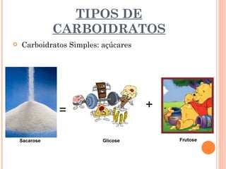 TIPOS DE
               CARBOIDRATOS
   Carboidratos Simples: açúcares




               =                     +

    Sacarose              Glicose        Frutose
 