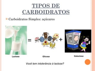 TIPOS DE
                CARBOIDRATOS
   Carboidratos Simples: açúcares




                 =                         +

      Lactose                 Glicose              Galactose


                Você tem intolerância à lactose?
 
