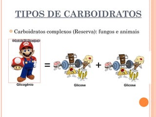 TIPOS DE CARBOIDRATOS
   Carboidratos complexos (Reserva): fungos e animais




                  =                  +
     Glicogênio            Glicose             Glicose
 
