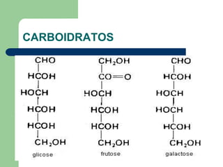 CARBOIDRATOS
 