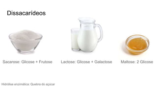 Dissacarídeos
Sacarose: Glicose + Frutose Lactose: Glicose + Galactose Maltose: 2 Glicose
Hidrólise enzimática: Quebra do açúcar
 