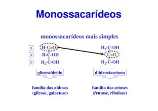 monossacarídeos mais simples
gliceraldeído
família das aldoses
(glicose, galactose)
C=O
H2-C-OH
H2-C-OH
diidroxiacetona
família das cetoses
(frutose, ribulose)
H-C=O
H-C-OH
H2-C-OH
1
2
3
Monossacarídeos
 