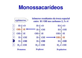 1
2
3
4
5
6
epímeros
isômeros resultantes da troca espacial
entre H / OH nos carbonos 2, 3 e 4
H-C=O
OH-C-H
H-C-OH
H2-C-OH
H-C-OH
H-C-OH
D-glicose
H-C=O
OH-C-H
H-C-OH
H2-C-OH
H-C-OH
OH-C-H
D-galactose
H-C=O
OH-C-H
H2-C-OH
H-C-OH
H-C-OH
OH-C-H
D-manose
Monossacarídeos
 