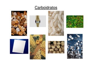 Carboidratos
 