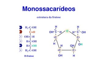 estrutura da frutose
H2-C-OH
OH-C-H
C=O
H2-C-OH
H-C-OH
H-C-OH
D-frutose
CC
C C
CO
H
H
H OH
OH
C
H
OH H
OH
OH
H
H
1
2
34
5
6
1
2
3
4
5
6
Monossacarídeos
 