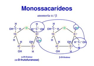 CC
C C
CO
H
H
H OH
OH
C
H
OH H
OH
OH
H
H
1
2
34
5
6
CC
C C
C
O
H
H
H OH
OHC
H
OH H
OH
OH
H
H 1
2
34
5
6
anomeria αααα / ββββ
Monossacarídeos
αααα-D-frutose
(αααα-D-frutofuranose)
ββββ-D-frutose
 