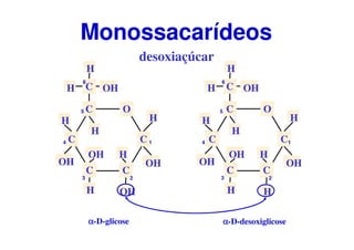 O
C
CC
C
C
CH OH
H
H
H
H
OH
OH
OH
H
OH
H
αααα-D-glicose
O
C
CC
C
C
CH OH
H
H
H
H
H
OH
OH
H
OH
H
desoxiaçúcar
Monossacarídeos
αααα-D-desoxiglicose
1
23
4
5
6
1
23
4
5
6
 