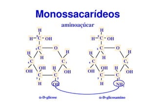 O
C
CC
C
C
CH OH
H
H
H
H
OH
OH
OH
H
OH
H
αααα-D-glicose
O
C
CC
C
C
CH OH
H
H
H
H
NH2
OH
OH
H
OH
H
aminoaçúcar
Monossacarídeos
αααα-D-glicosamino
1
23
4
5
6
1
23
4
5
6
 