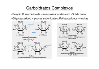 Carboidratos Complexos
- Reação C anomérico de um monossacarídeo com -OH de outro
- Oligossacarídeo = poucas subunidades; Polissacarídeos = muitas
 