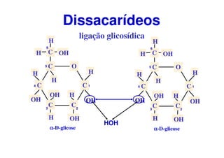 O
C
CC
C
C
CH OH
H
H
H
H
OH
OH
OH
H
OH
H
αααα-D-glicose
1
23
4
5
6
O
C
CC
C
C
CH OH
H
H
H
H
OH
OH
OH
H
OH
H
αααα-D-glicose
1
23
4
5
6
ligação glicosídica
Dissacarídeos
HOH
 