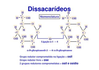 O
C
CC
C
C
CH OH
H
H
H
H
OH
OH
OH
H
O
H
1
23
4
5
6
O
C
CC
C
C
CH OH
H
H
H
H
OH
OH
H
OH
H
1
23
4
5
6
Dissacarídeos
Ligação αααα-1 → 4
αααα-D-glicopiranosil-(1 → 4) αααα-D-glicopiranose
Nomenclatura
Grupo redutor comprometido na ligação = osil
Gropo redutor livre = ose
2 grupos redutores comprometidos = osil e osídio
 