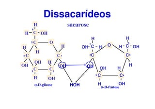 sacarose
Dissacarídeos
O
C
CC
C
C
CH OH
H
H
H
H
OH
OH
OH
H
OH
H
αααα-D-glicose
1
23
4
5
6
C C
CC
C O
H
H
HOH
OH
C
H
OHH
OH
OH
H
H
1
2
3 4
5
6
αααα-D-frutose
HOH
 