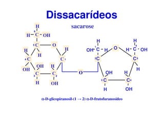 sacarose
Dissacarídeos
O
C
CC
C
C
CH OH
H
H
H
H
OH
OH
OH
H
O
H
1
23
4
5
6
C C
CC
C O
H
H
HOH C
H
OHH
OH
OH
H
H
1
2
3 4
5
6
αααα-D-glicopiranosil-(1 → 2) αααα-D-frutofuranosídeo
 