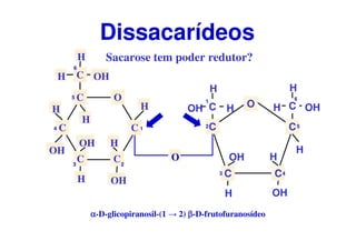 Sacarose tem poder redutor?
Dissacarídeos
O
C
CC
C
C
CH OH
H
H
H
H
OH
OH
OH
H
O
H
1
23
4
5
6
C C
CC
C O
H
H
HOH C
H
OHH
OH
OH
H
H
1
2
3 4
5
6
αααα-D-glicopiranosil-(1 → 2) ββββ-D-frutofuranosídeo
 
