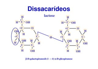 O
C
CC
C
C
CH OH
OH
H
H
H
OH
OH
H
H
1
23
4
5
6
O
C
CC
C
C
CH OH
H
H
H
H
OH
OH
H
OH
H
1
23
4
5
6
lactose
Dissacarídeos
ββββ-D-galactopiranosil-(1 → 4) αααα-D-glicopiranose
H
O
 