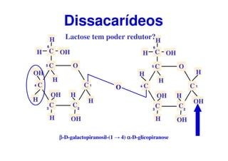 O
C
CC
C
C
CH OH
OH
H
H
H
OH
OH
H
H
1
23
4
5
6
O
C
CC
C
C
CH OH
H
H
H
H
OH
OH
H
OH
H
1
23
4
5
6
Lactose tem poder redutor?
Dissacarídeos
ββββ-D-galactopiranosil-(1 → 4) αααα-D-glicopiranose
H
O
 