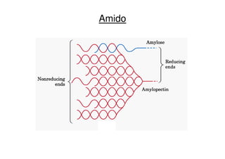 Amido
 