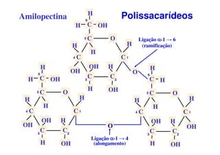 O
C
CC
C
C
CH OH
H
H
H
H
OH
OH
OH
H
H
1
23
4
5
6
O
C
CC
C
C
C H
H
H
H
H
OH
OH
H
OH
H
1
23
4
5
6
O
Ligação αααα-1 → 4
(alongamento)
H
OH
O
C
CC
C
C
CH OH
H
H
HOH
OH
H
H
1
23
4
5
6
O
Ligação αααα-1 → 6
(ramificação)
Amilopectina Polissacarídeos
 