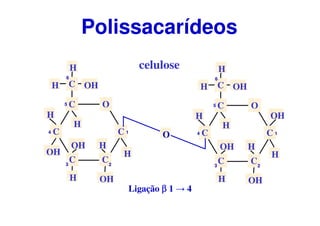 O
C
CC
C
C
CH OH
H
H
H
H
OH
OH
OH
H
1
23
4
5
6
O
C
CC
C
C
CH OH
H
H
H
H
OH
OH
OH
H
H
1
23
4
5
6
H
O
Ligação ββββ 1 → 4
Polissacarídeos
celulose
 