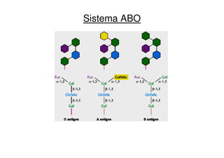 Sistema ABO
 