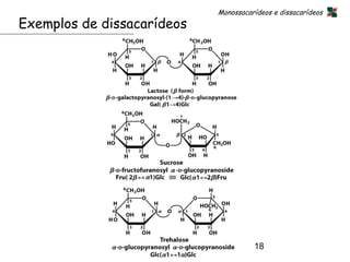 Monossacarídeos e dissacarídeos
Exemplos de dissacarídeos




                                      18
 