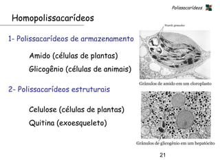 Polissacarídeos

 Homopolissacarídeos

1- Polissacarídeos de armazenamento

      Amido (células de plantas)
      Glicogênio (células de animais)
                                         Grânulos de amido em um cloroplasto
2- Polissacarídeos estruturais

      Celulose (células de plantas)
      Quitina (exoesqueleto)

                                        Grânulos de glicogênio em um hepatócito

                                                   21
 