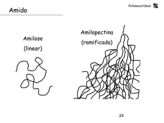 Polissacarídeos
Amido


               Amilopectina
   Amilose
               (ramificada)
    (linear)




                              24
 