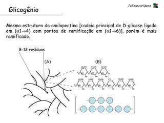 Polissacarídeos
 Glicogênio

Mesma estrutura da amilopectina [cadeia principal de D-glicose ligada
em (α1→4) com pontos de ramificação em (α1→6)], porém é mais
ramificado.

     8-12 resíduos




                                                   25
 