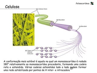 Polissacarídeos
 Celulose




A conformação mais estável é aquela na qual um monossacarídeo é rodado
180° relativamente ao monossacarídeo precedente, formando uma cadeia
reta e estendida. Várias cadeias estendidas lado a lado podem formar
                                                           27
uma rede estabilizada por pontes de H inter- e intracadeia
 