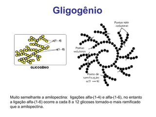 Gligogênio
Muito semelhante a amilopectina: ligações alfa-(1-4) e alfa-(1-6), no entanto
a ligação alfa-(1-6) ocorre a cada 8 a 12 glicoses tornado-o mais ramificado
que a amilopectina.
 