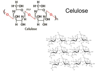 Celulose
 