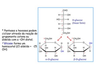 * Pentoses e hexoses podem
ciclizar através da reação do
grupamento cetona ou
aldeído com a –OH distal;
Glicose forma um
hemiacetal (C1 aldeído + C5
OH)
H O
OH
H
OH
H
OH
CH2OH
H
OH
H H O
OH
H
OH
H
OH
CH2OH
H
H
OH
-D-glucose -D-glucose
2
3
4
5
6
1 1
6
5
4
3 2
H
CHO
C OH
C H
HO
C OH
H
C OH
H
CH2OH
1
5
2
3
4
6
D-glucose
(linear form)
 