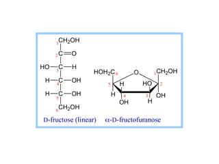 CH2OH
C O
C H
HO
C OH
H
C OH
H
CH2OH
HOH2C
OH
CH2OH
H
OH H
H HO
O
1
6
5
4
3
2
6
5
4 3
2
1
D-fructose (linear) -D-fructofuranose
 